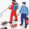 S & B Pest Control Service